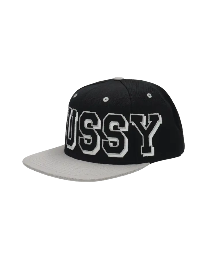 STUSSY STADIUM CAP
