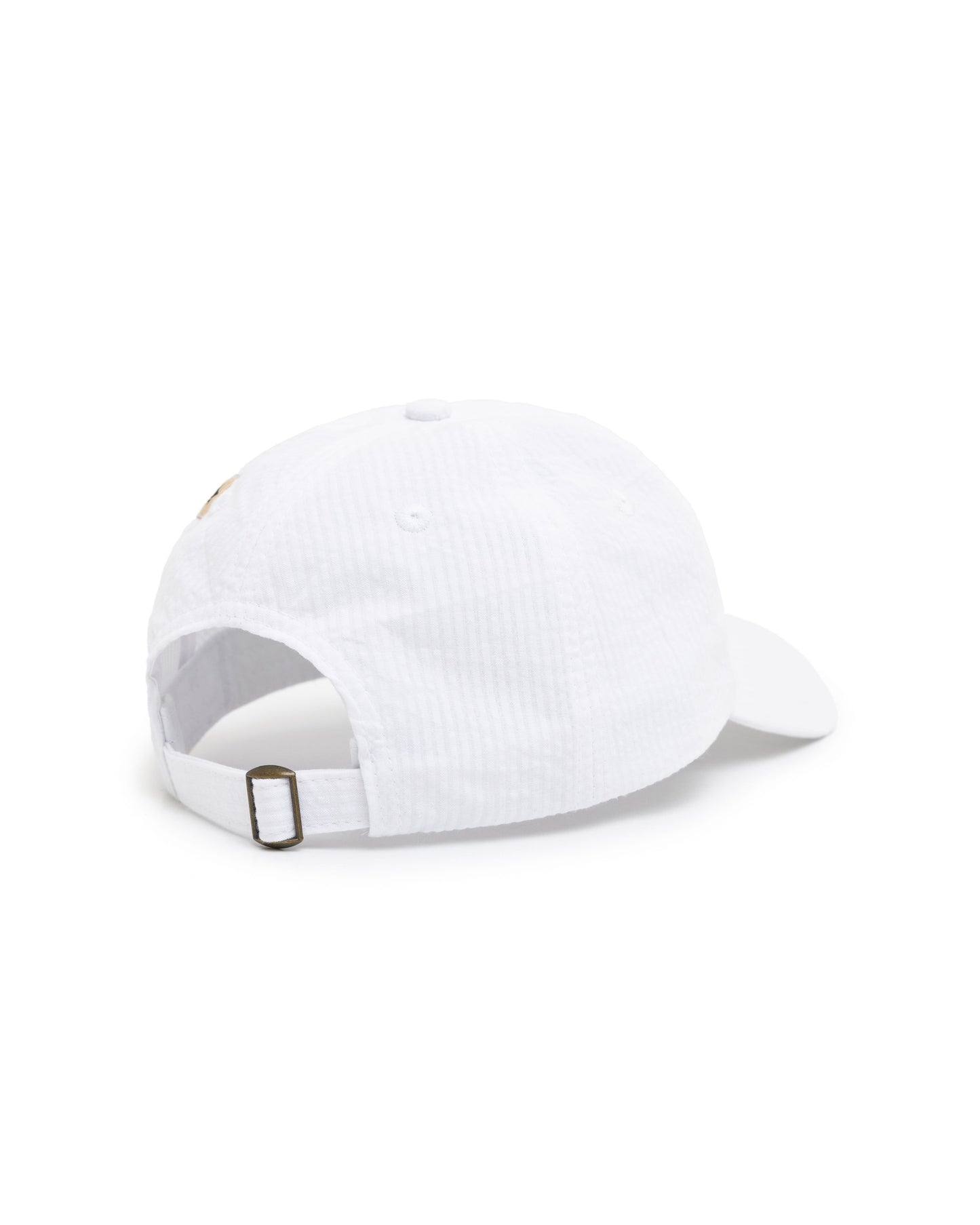 LTTT - ASICS AAAA CAP
